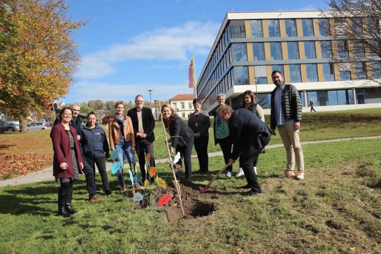 Friedensbaum auf dem Gelände des Landratsamts gepflanzt